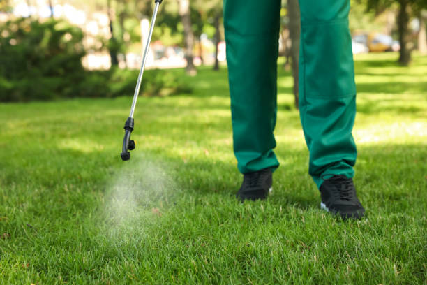 Best Pest Prevention Services  in Springfield, OR