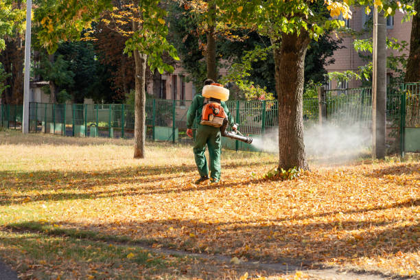 Best Cockroach Control Services  in Springfield, OR